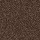 Horizon Carpet: Quality Life Chocolate Chip